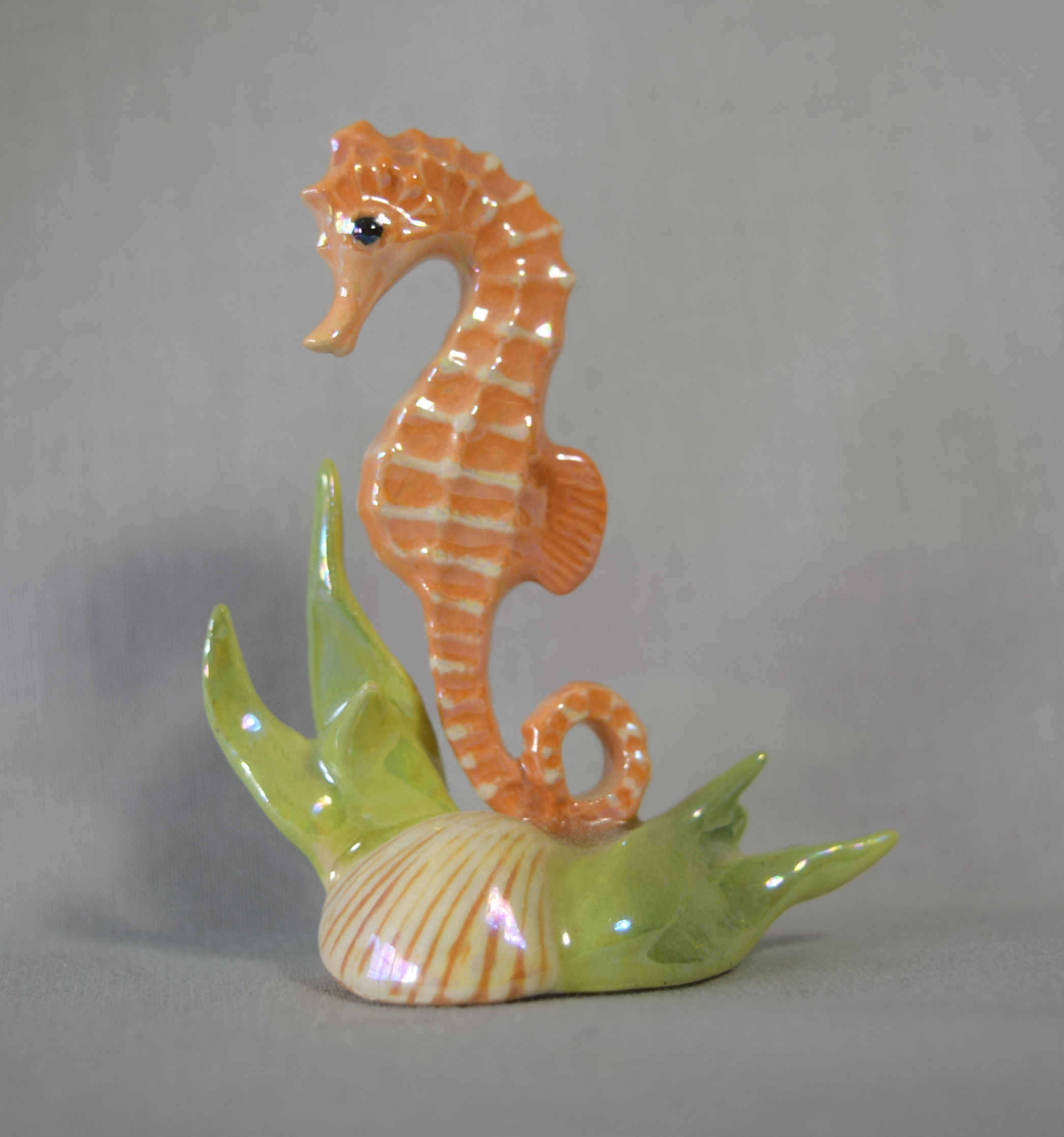 Seahorse-image