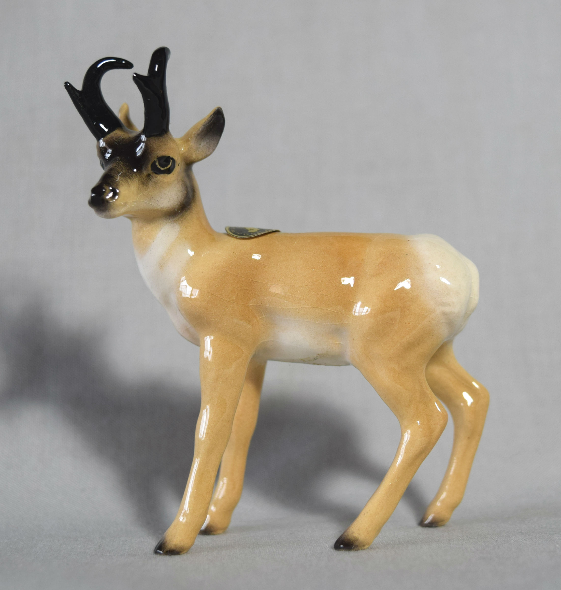 Prong Horn Antelope-image