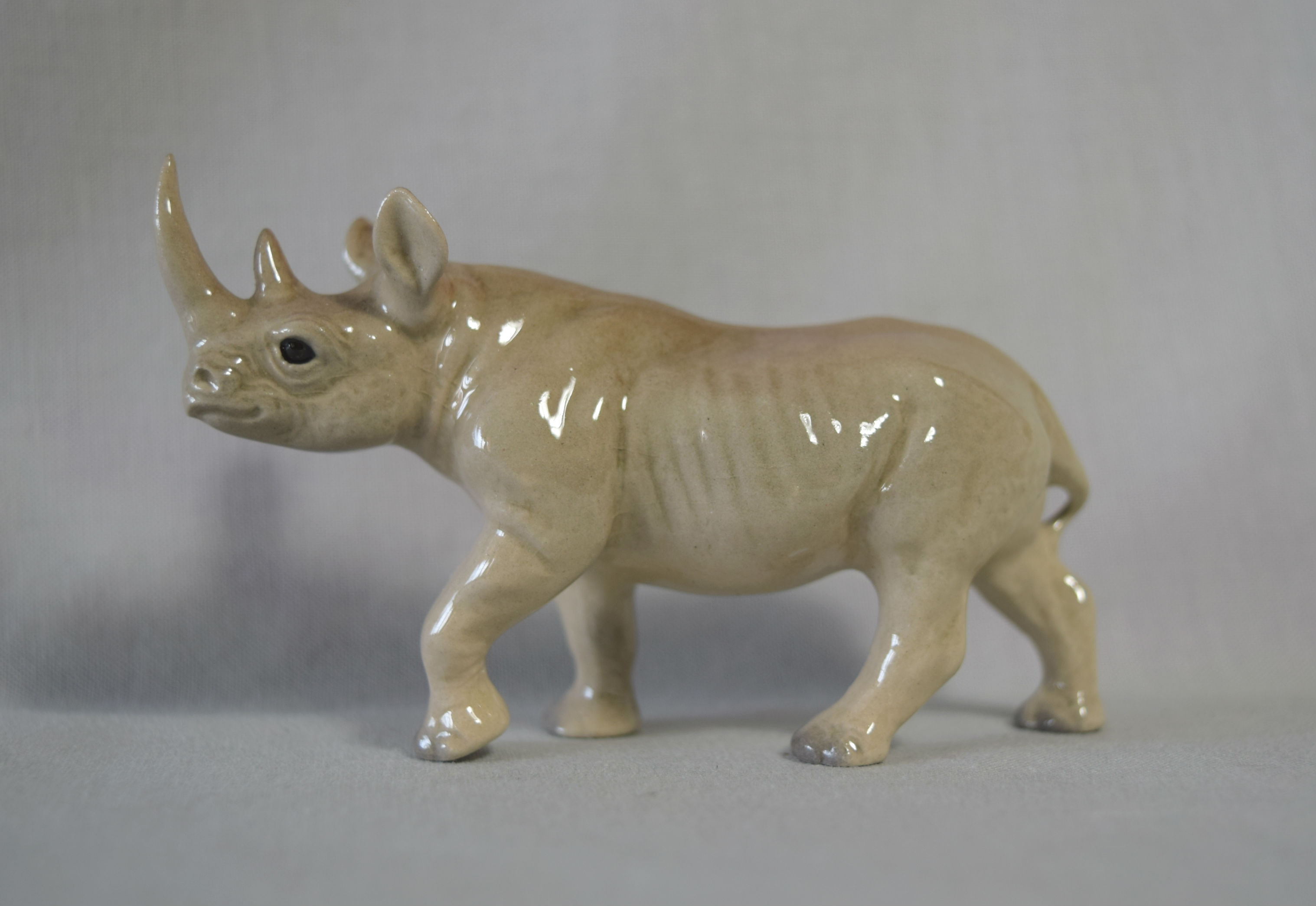 Rhinoceros-image