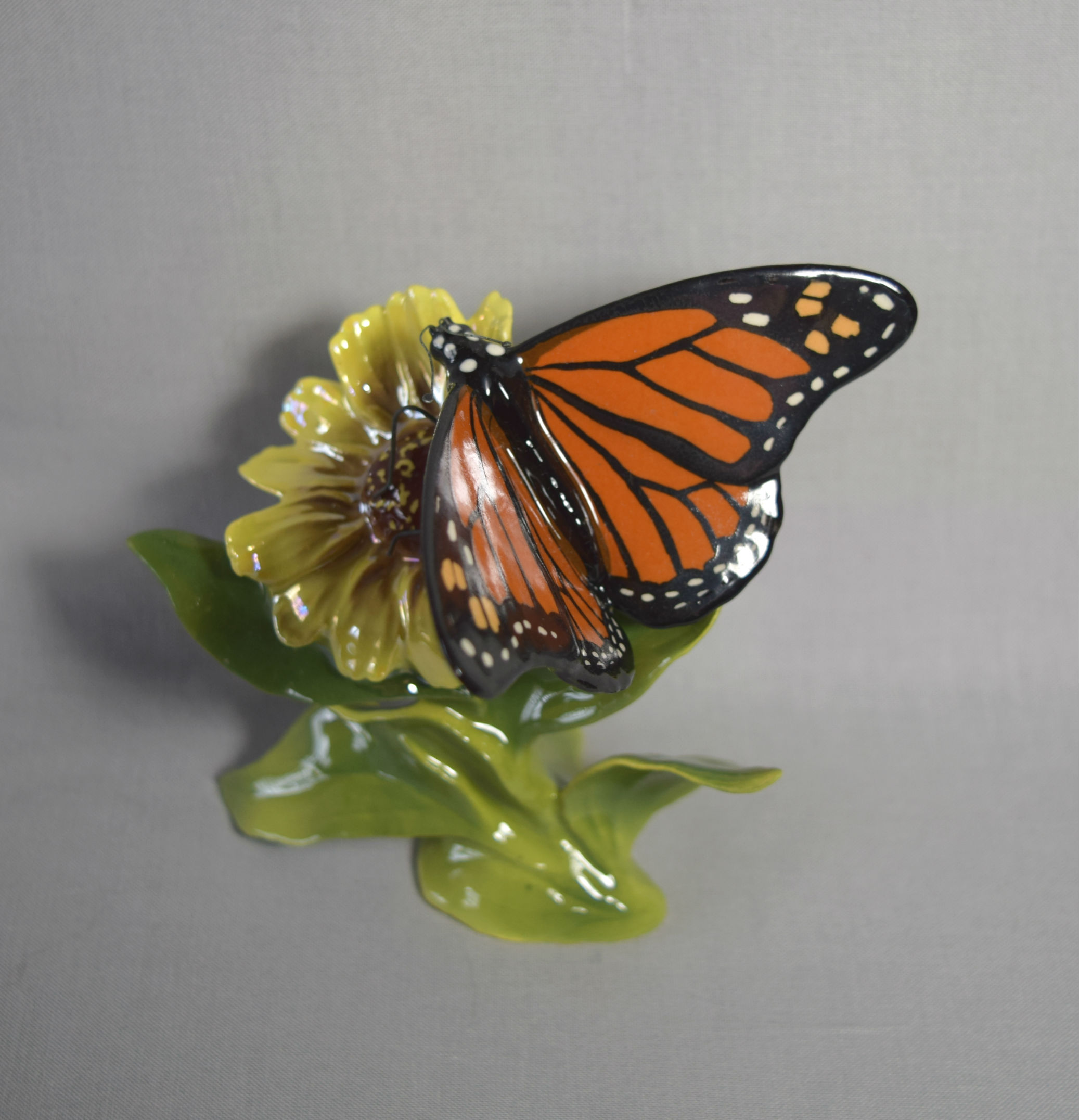 Monarch Butterfly on Flower-image