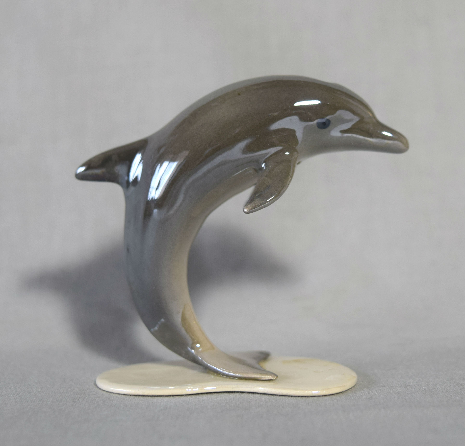 Dolphin on base-image