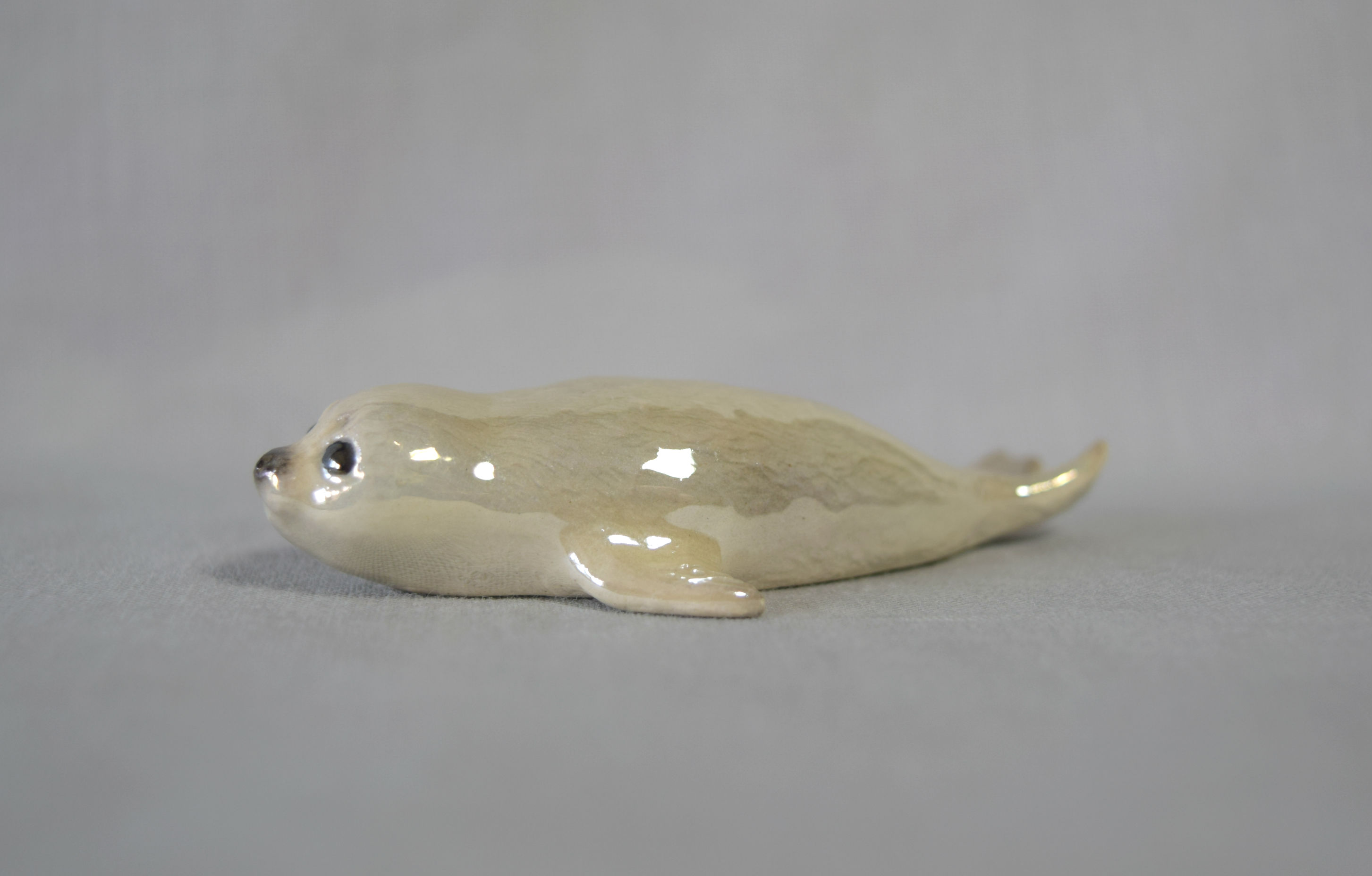 Harp Seal-image