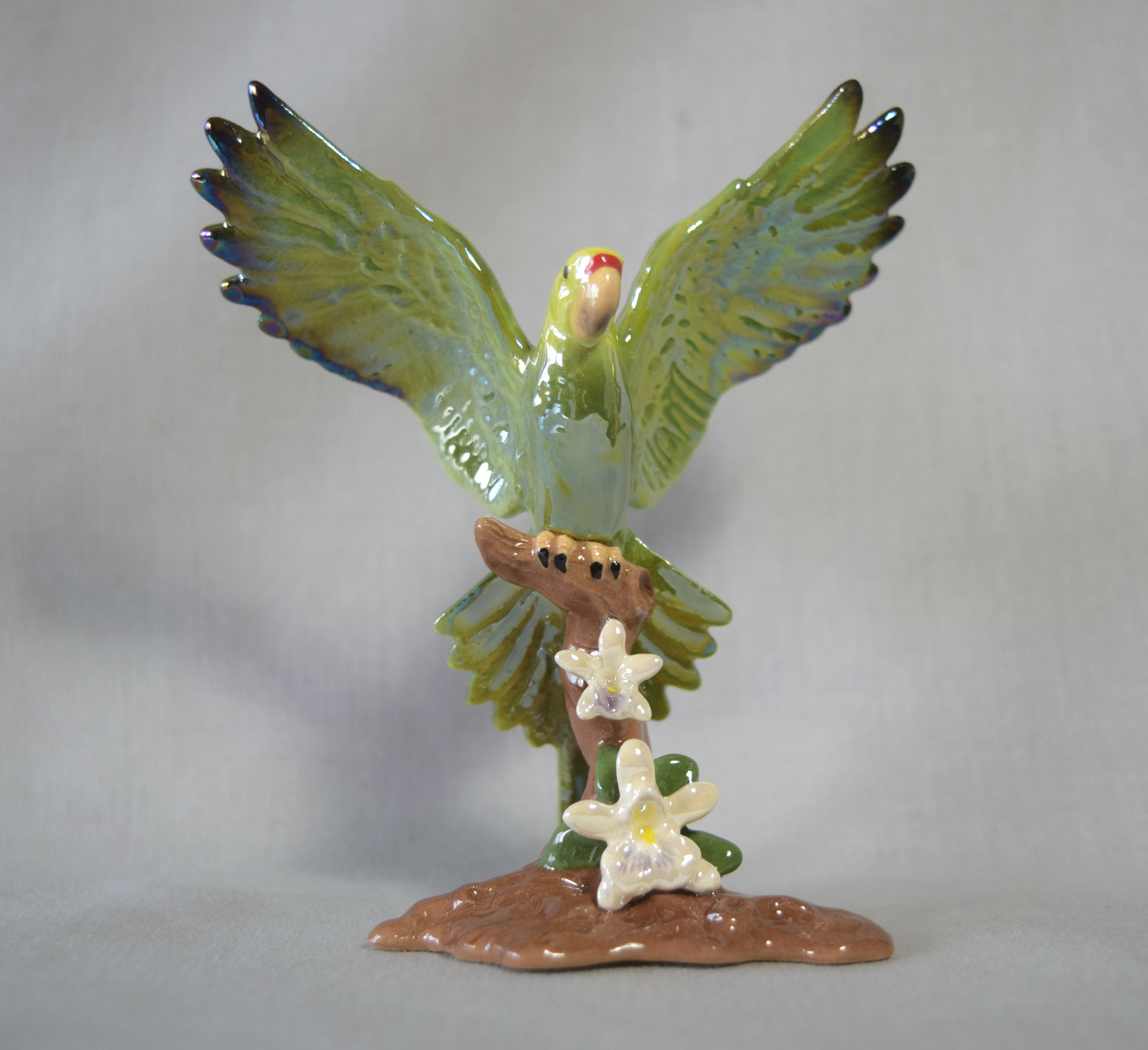Parrot on Branch-image