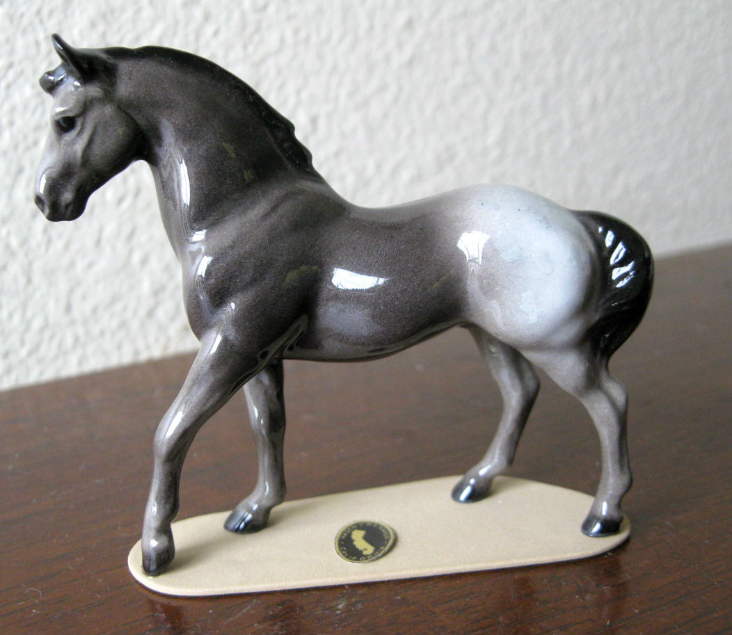 Appaloosa Stallion, “Orion” main image