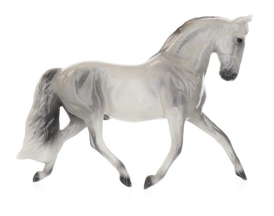 Spanish Horse-image