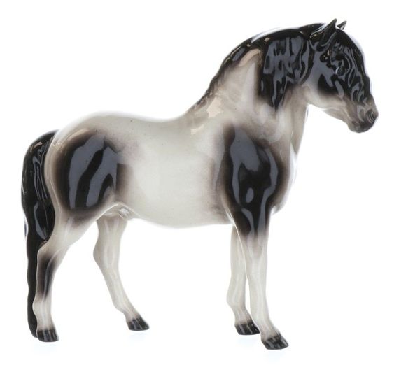 Pinto Pony Stallion-image