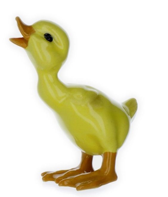 Duckling main image