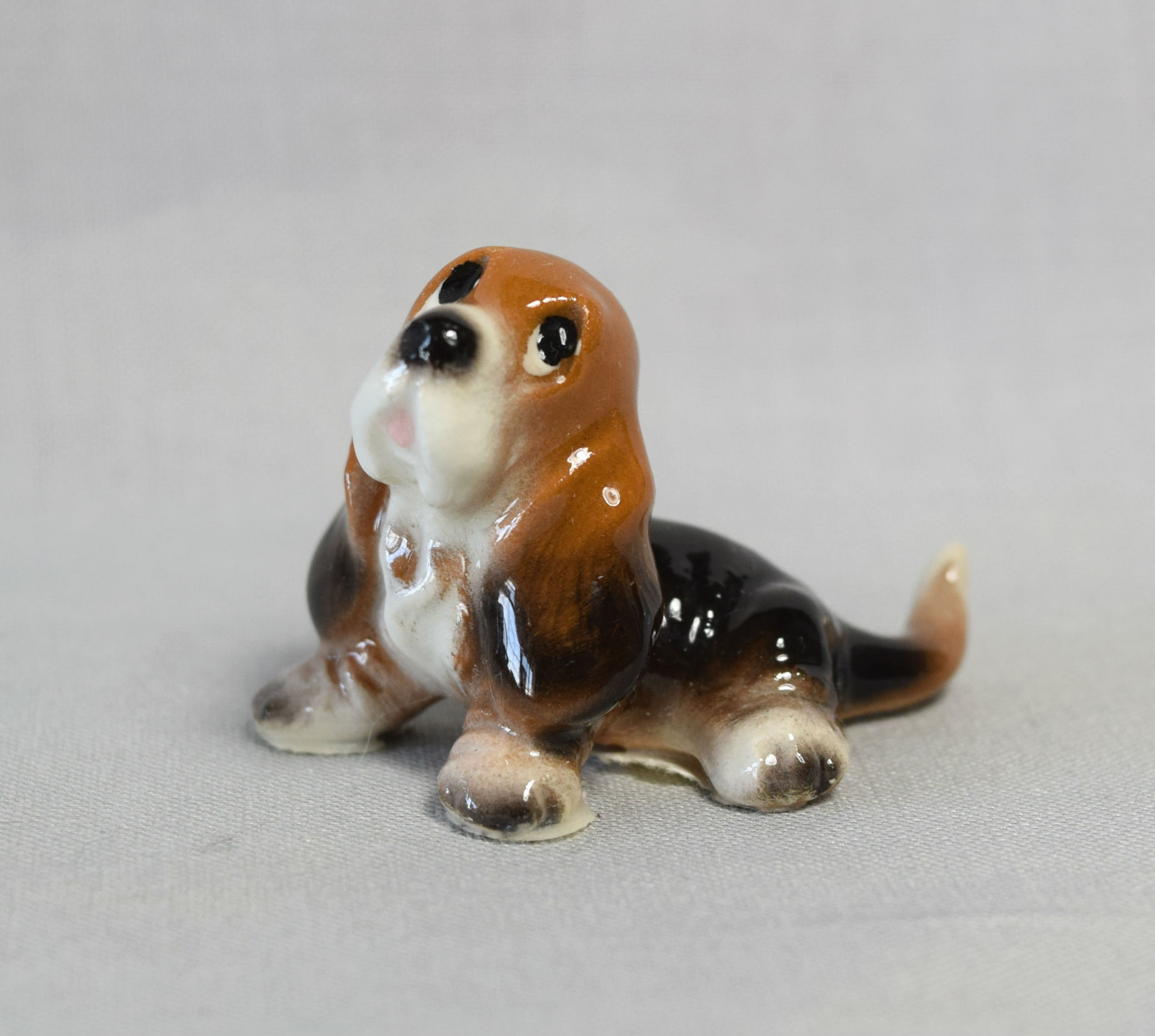 Basset Hound Puppy, sitting-image