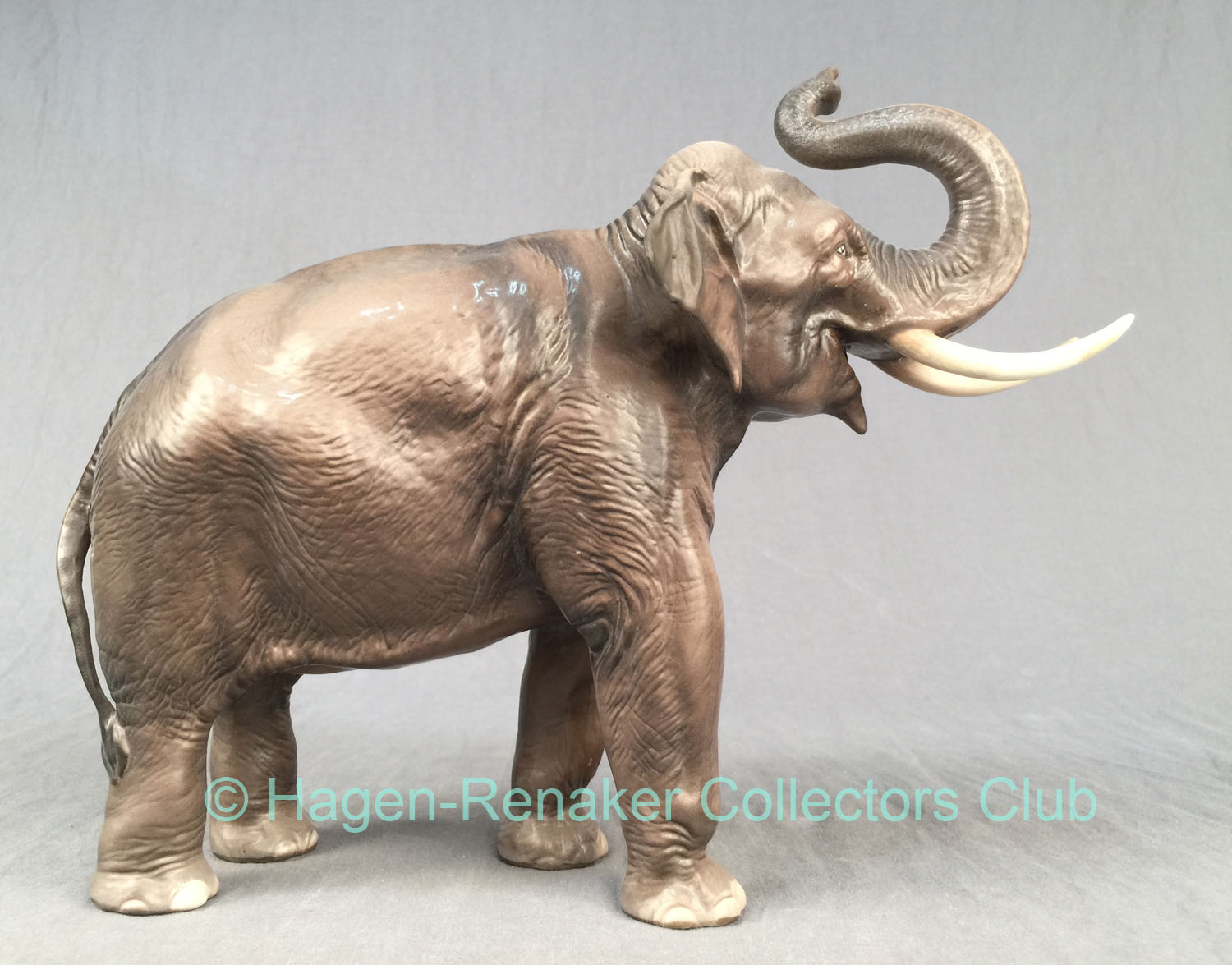 Elephant "Rajah"-image