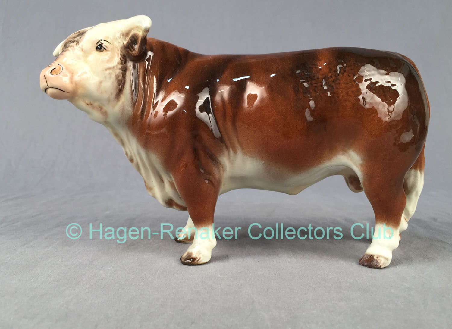 Hereford Bull-image