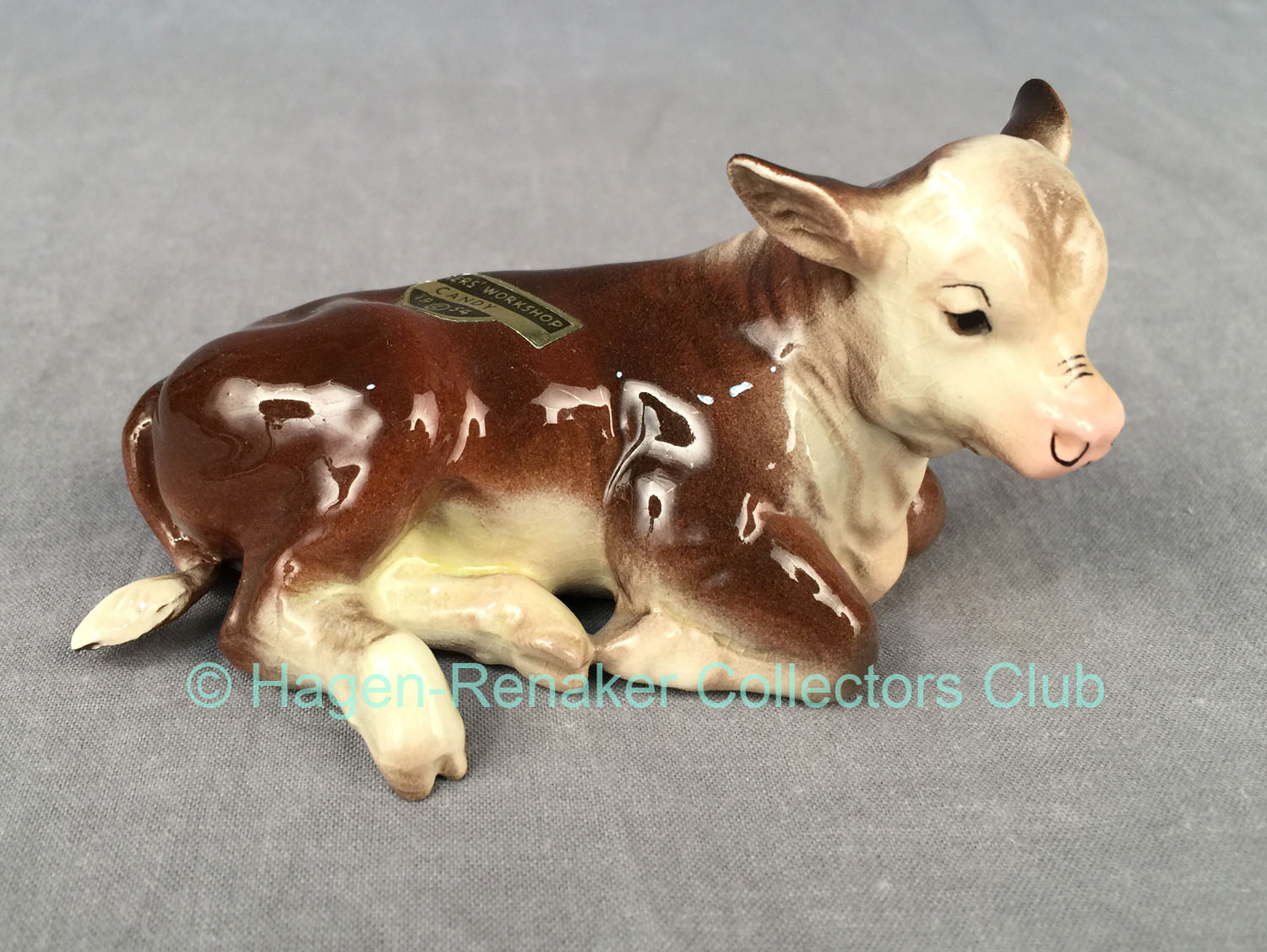 Hereford Calf "Candy"-image