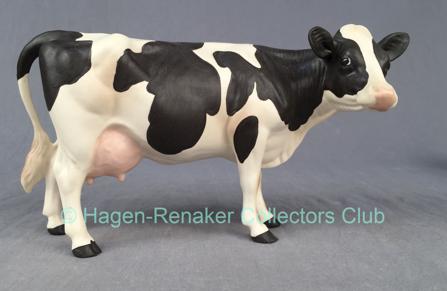 Holstein Cow-image