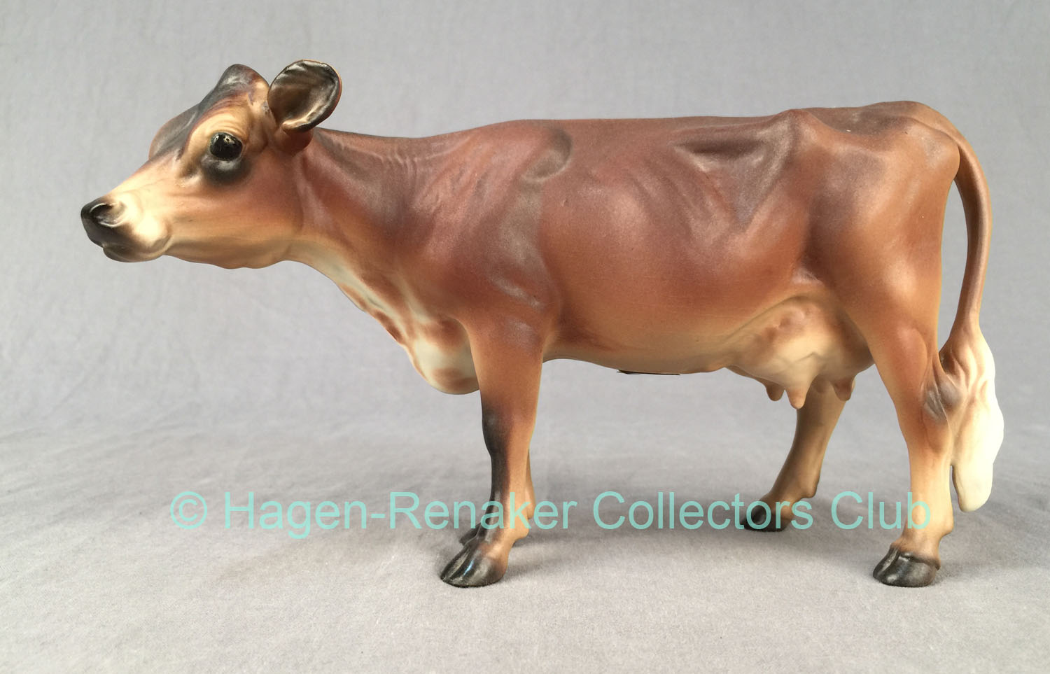Jersey Cow-image