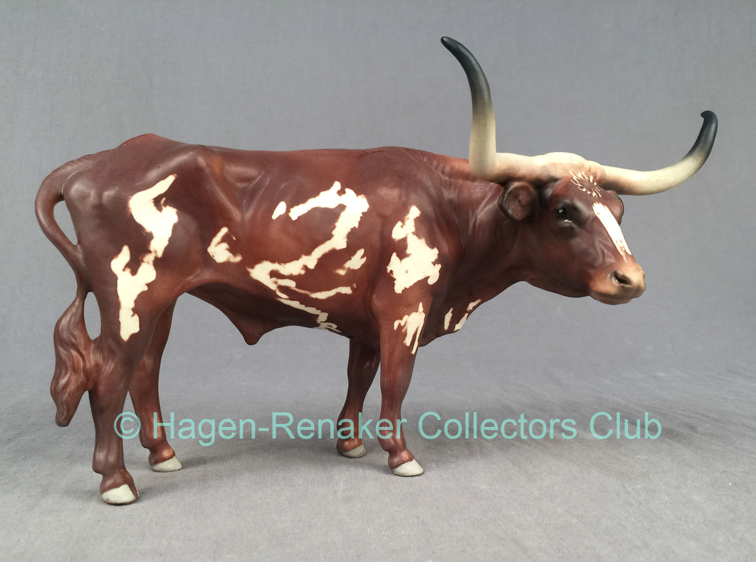 Longhorn-image