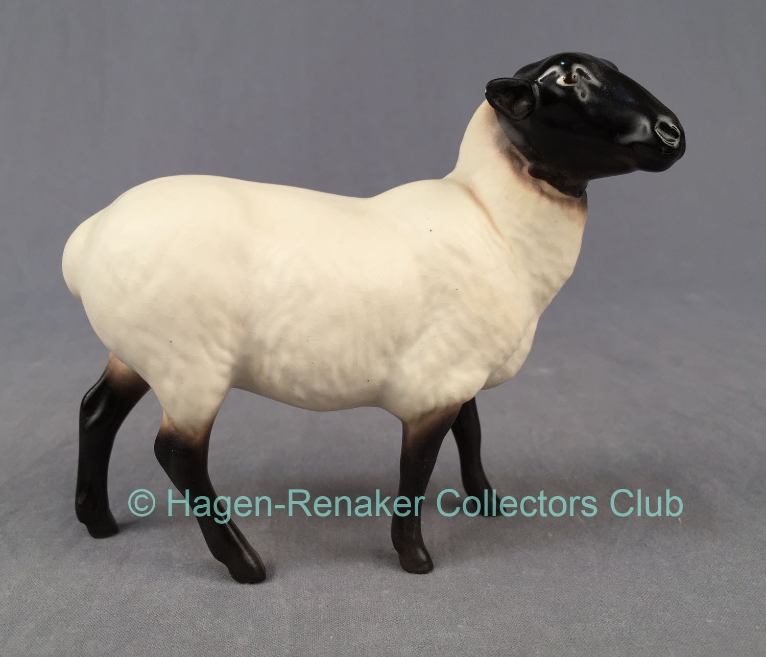 Sheep "Lady Jane"-image