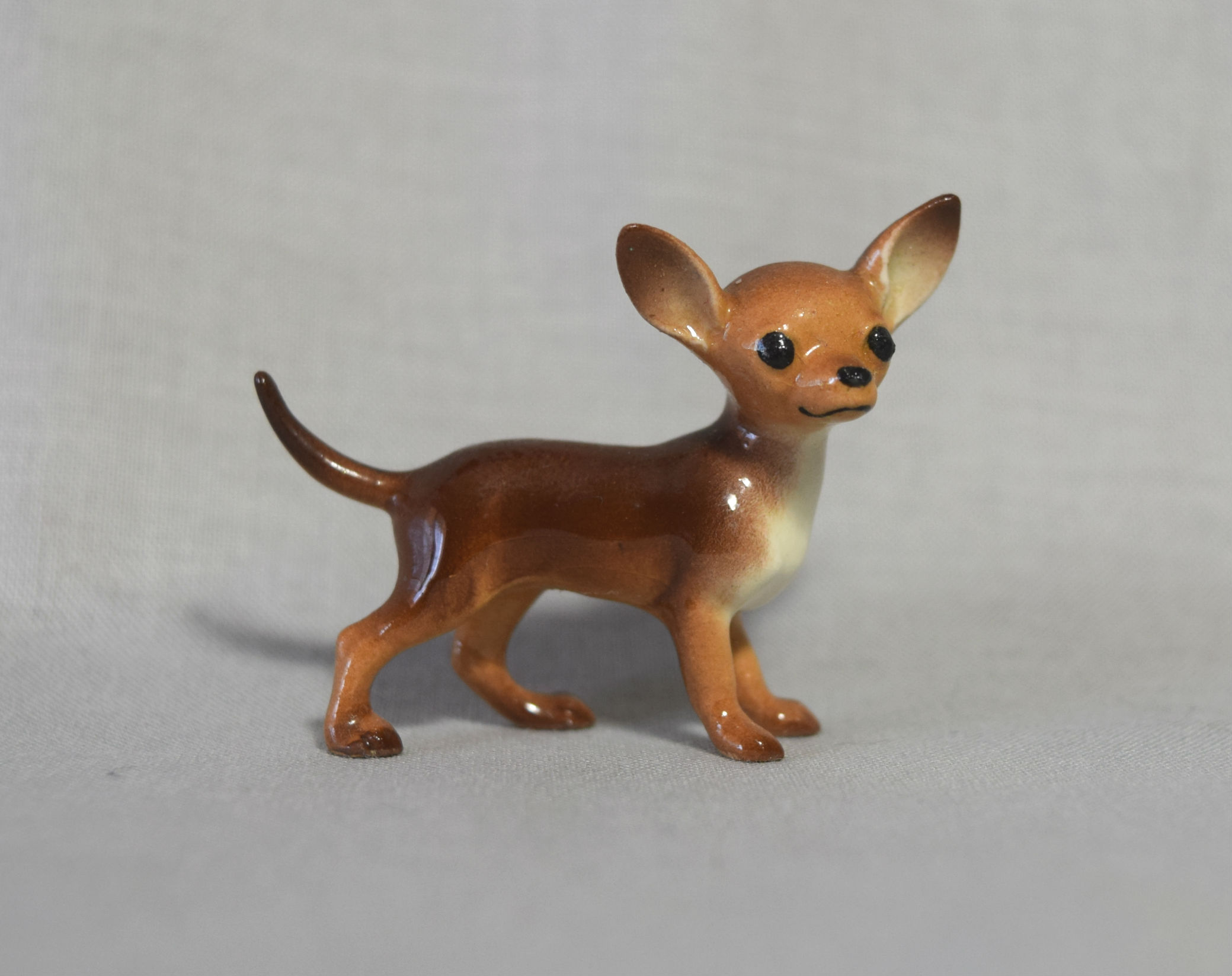 Chihuahua, facing right-image