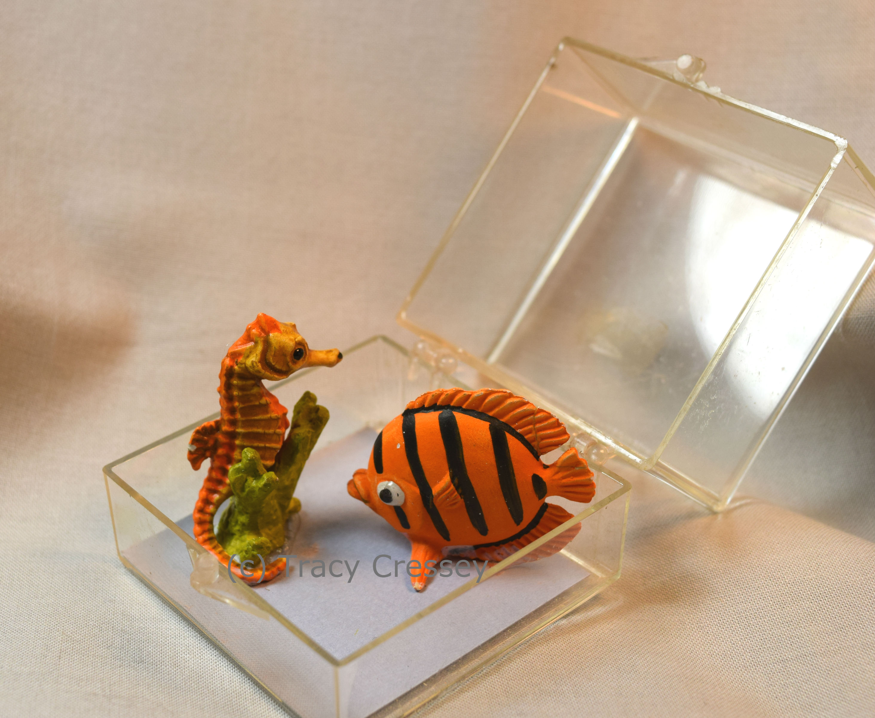 Boxed Seahorse and Flat Fish Set-image