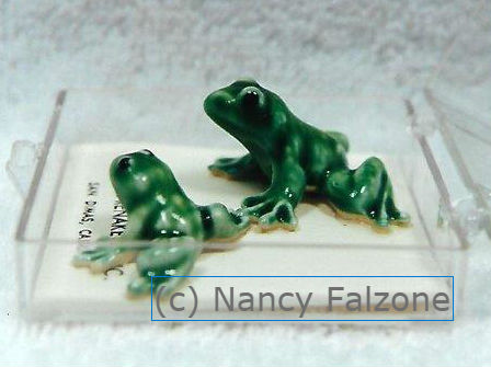 Boxed Frogs Set-image