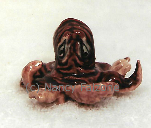 Octopus / Skindiver-image