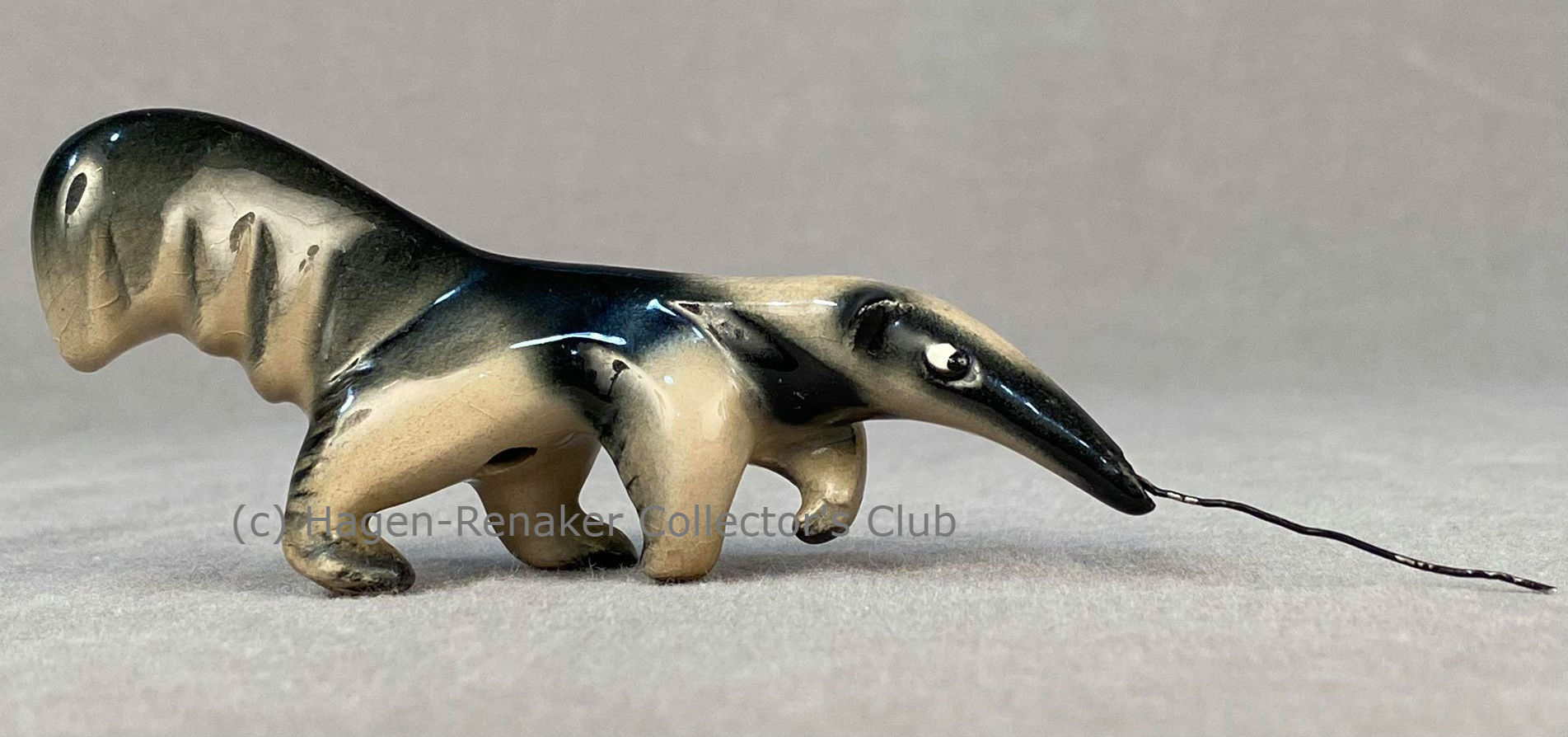 Anteater-image