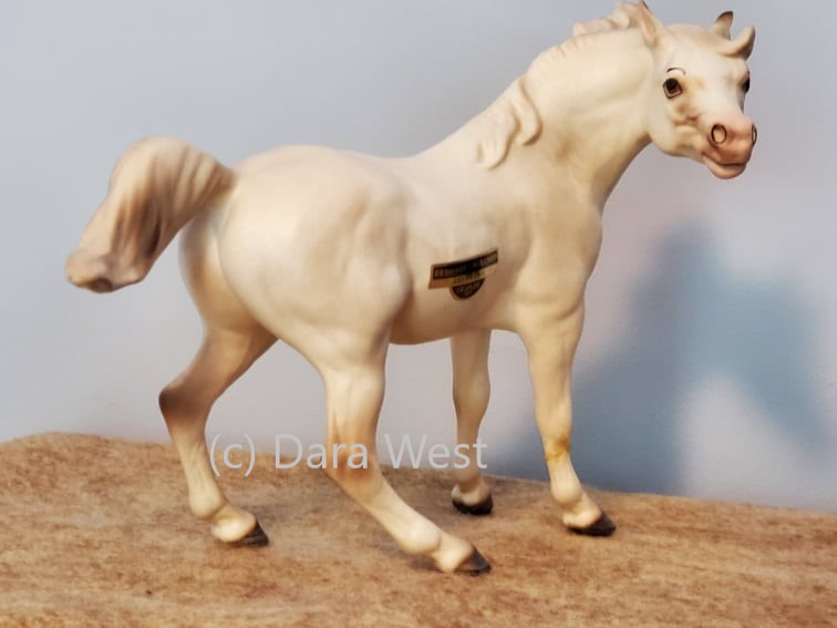 Arabian Stallion, Abu-Farwa main image