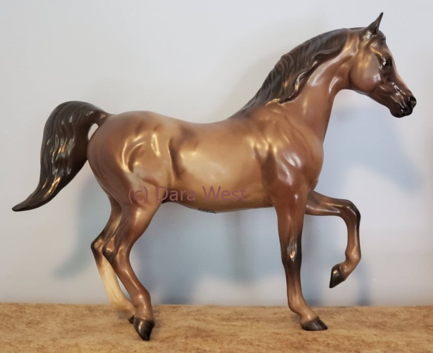 Arabian Stallion, Amir, Large main image