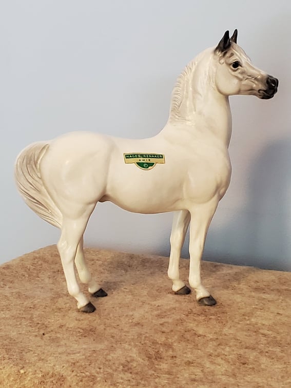 Arabian Stallion, Amir, small-image
