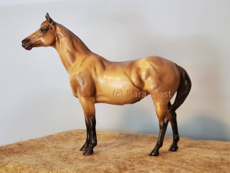 Quarter Horse Mare, Erin-image