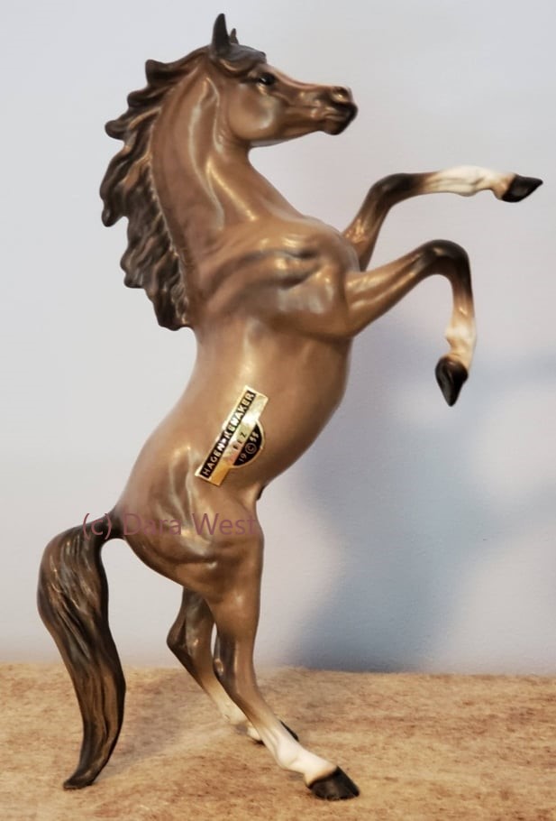 Arabian Stallion, Fez, small main image