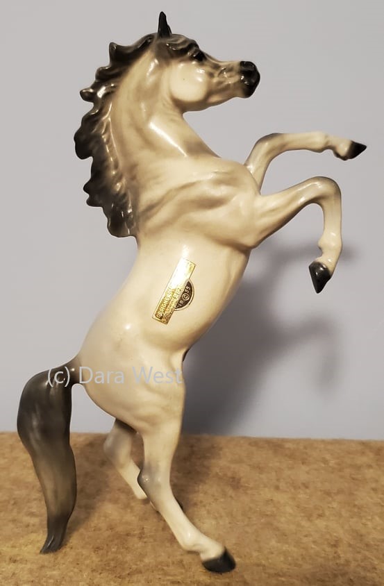 Arabian Stallion, Fez, large-image