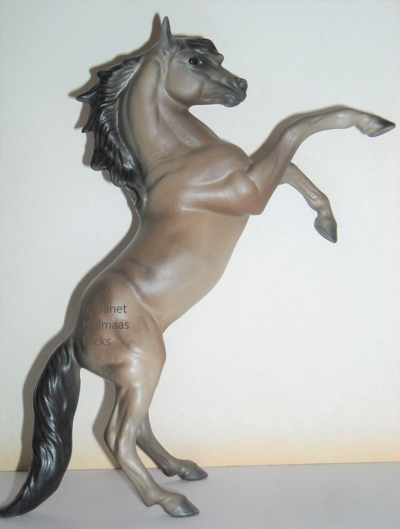 Mustang, King Cortez, pointed mane main image