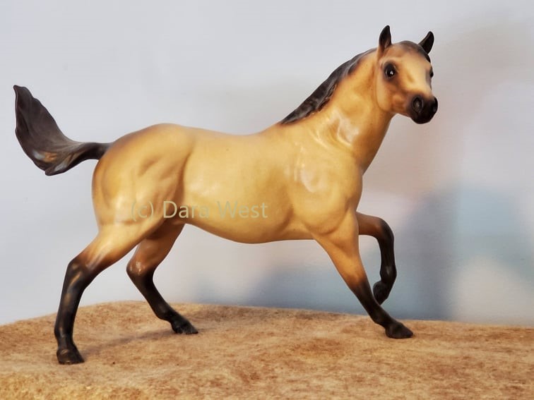 Quarter Horse Stallion, Maverick-image