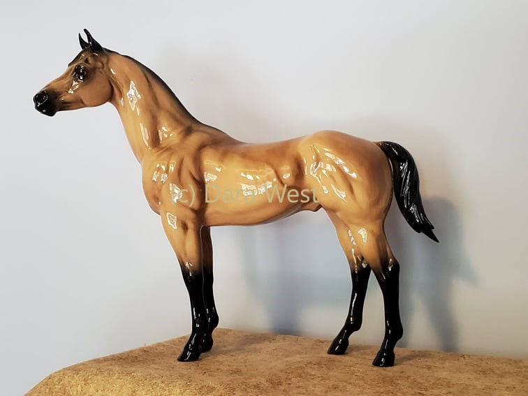 Quarter Horse Stallion, Metalchex-image