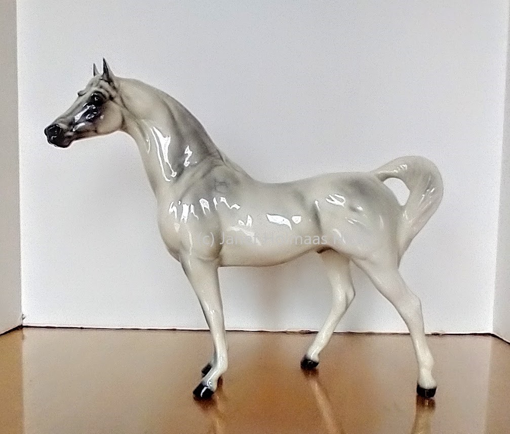 Arabian Stallion, Nataf main image