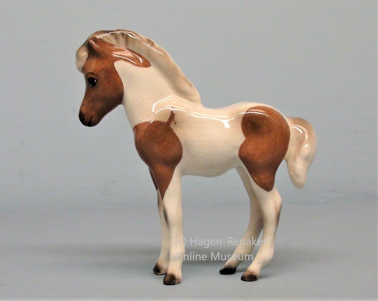 Shetland Pony Colt, Rascal-image