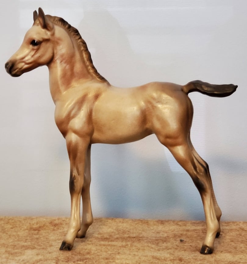 Arabian Colt, Zilla, large-image