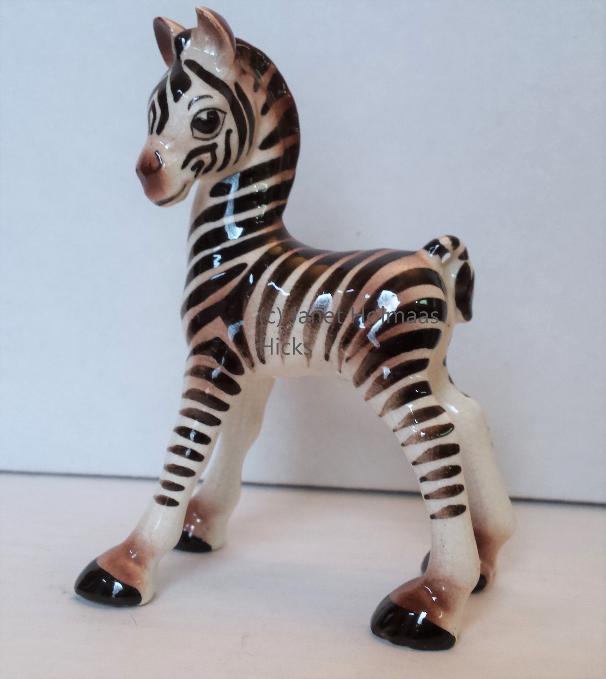 Zebra baby-image