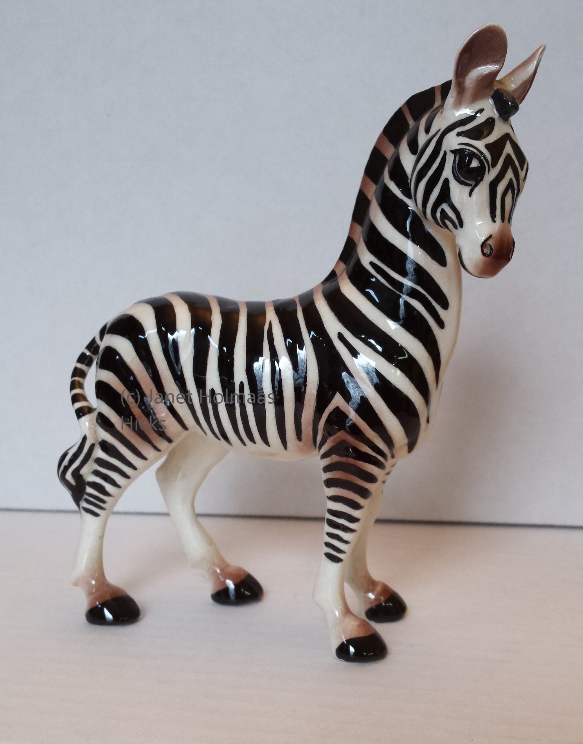 Zebra adult-image