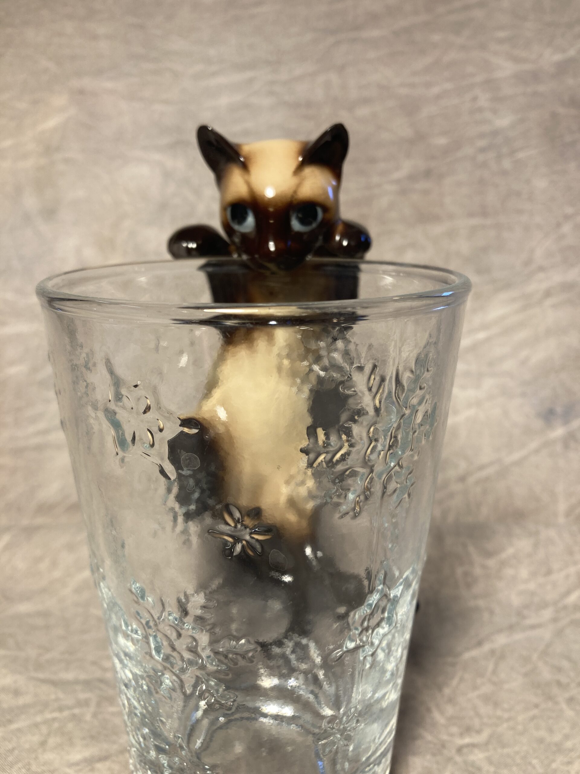Siamese Cat, fishbowl-image