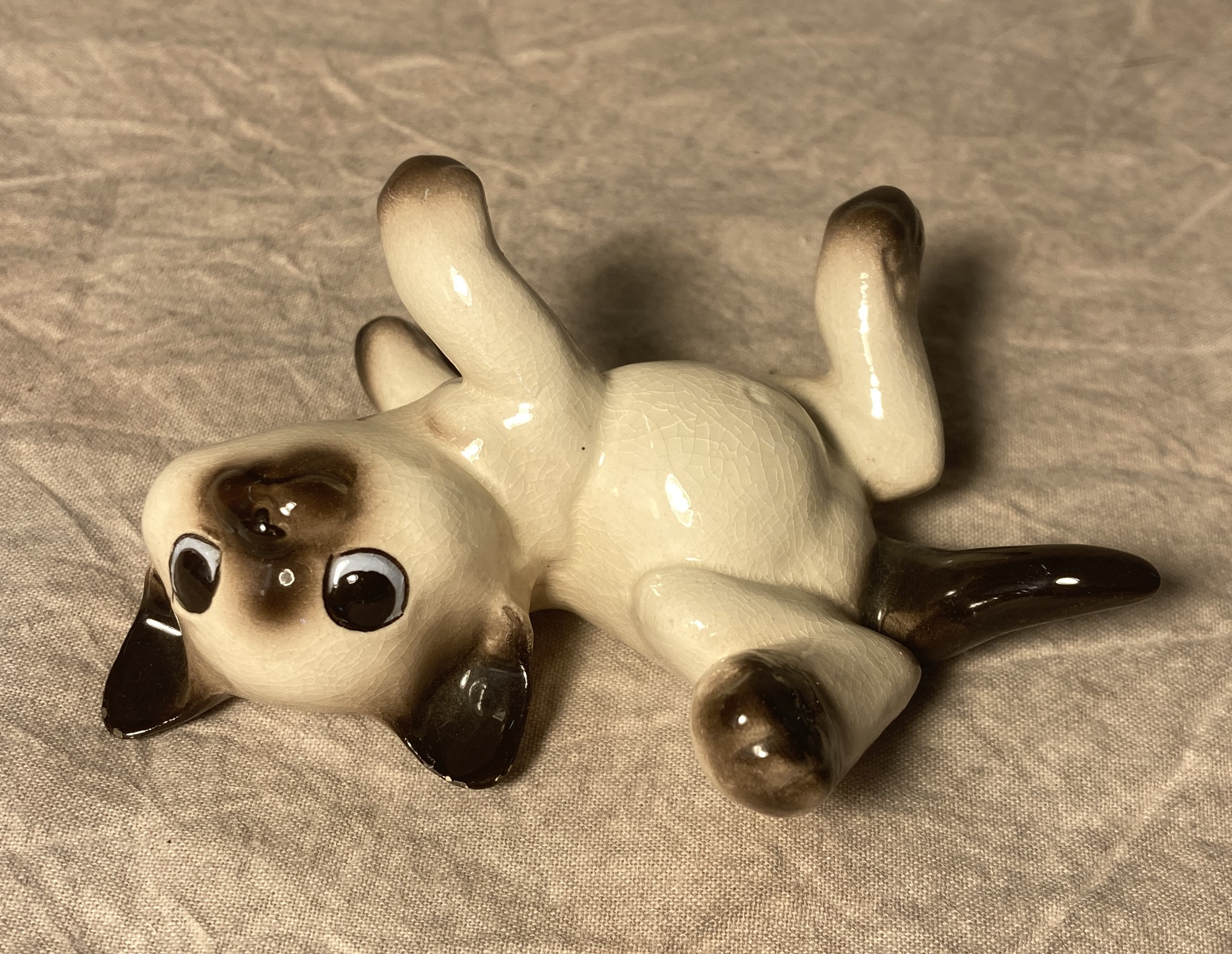 Siamese Kitten, lying on back-image