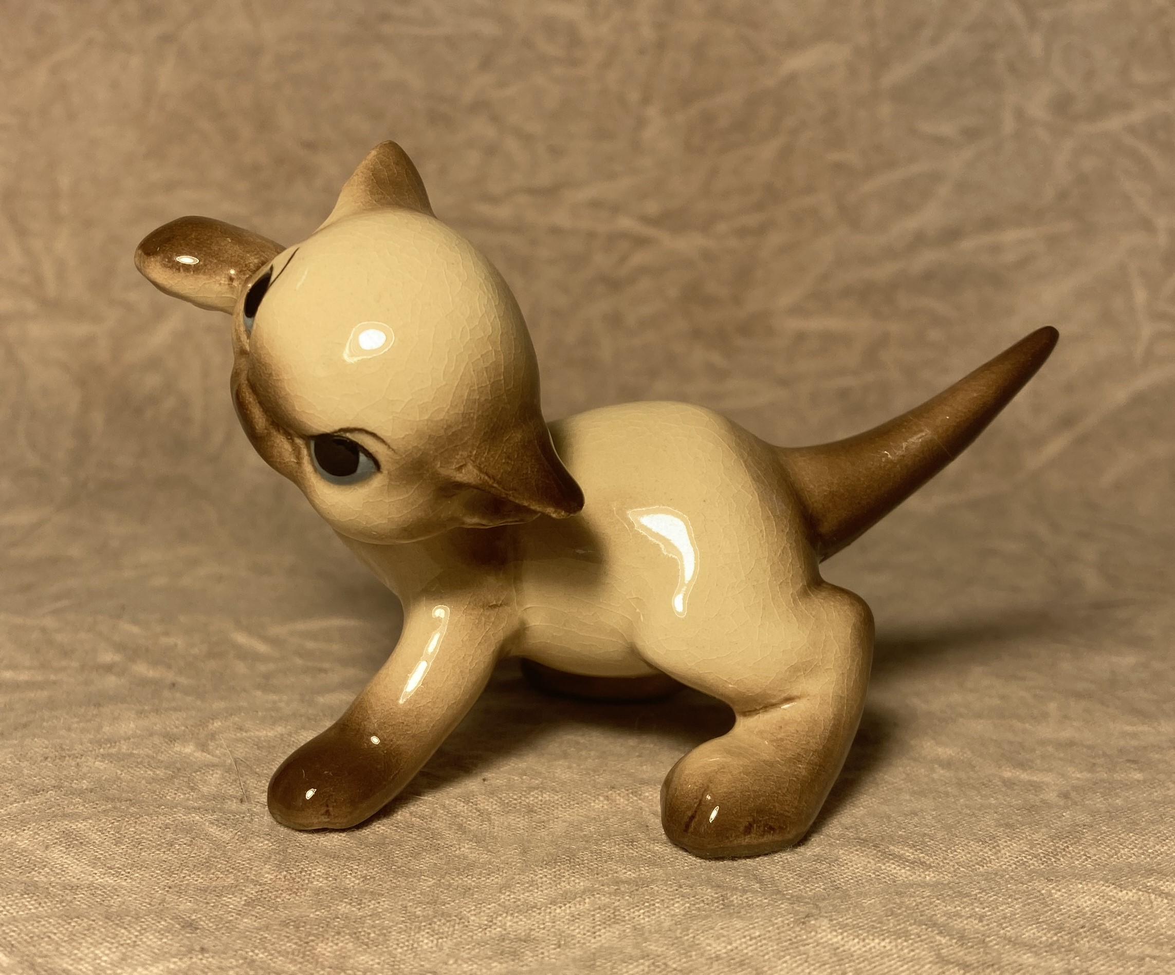 Siamese Kitten, playing, "Khitti Kat"-image