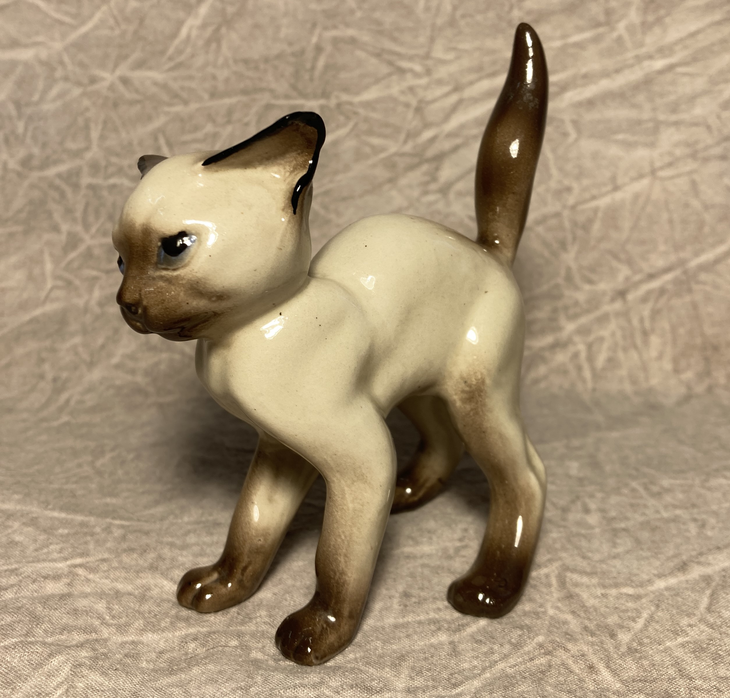 Kitten, scared "Kwei Li"-image