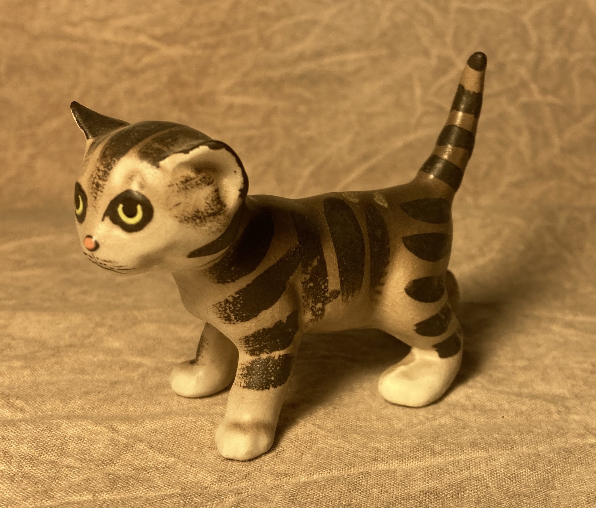 Kitten, standing "Sugar"-image