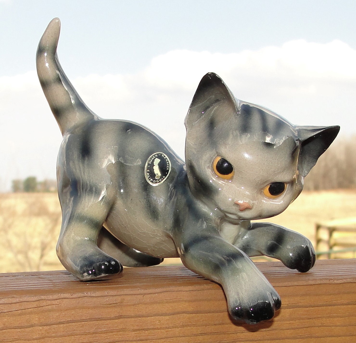 Kitten, playing "Quan Yen / Sassy"-image
