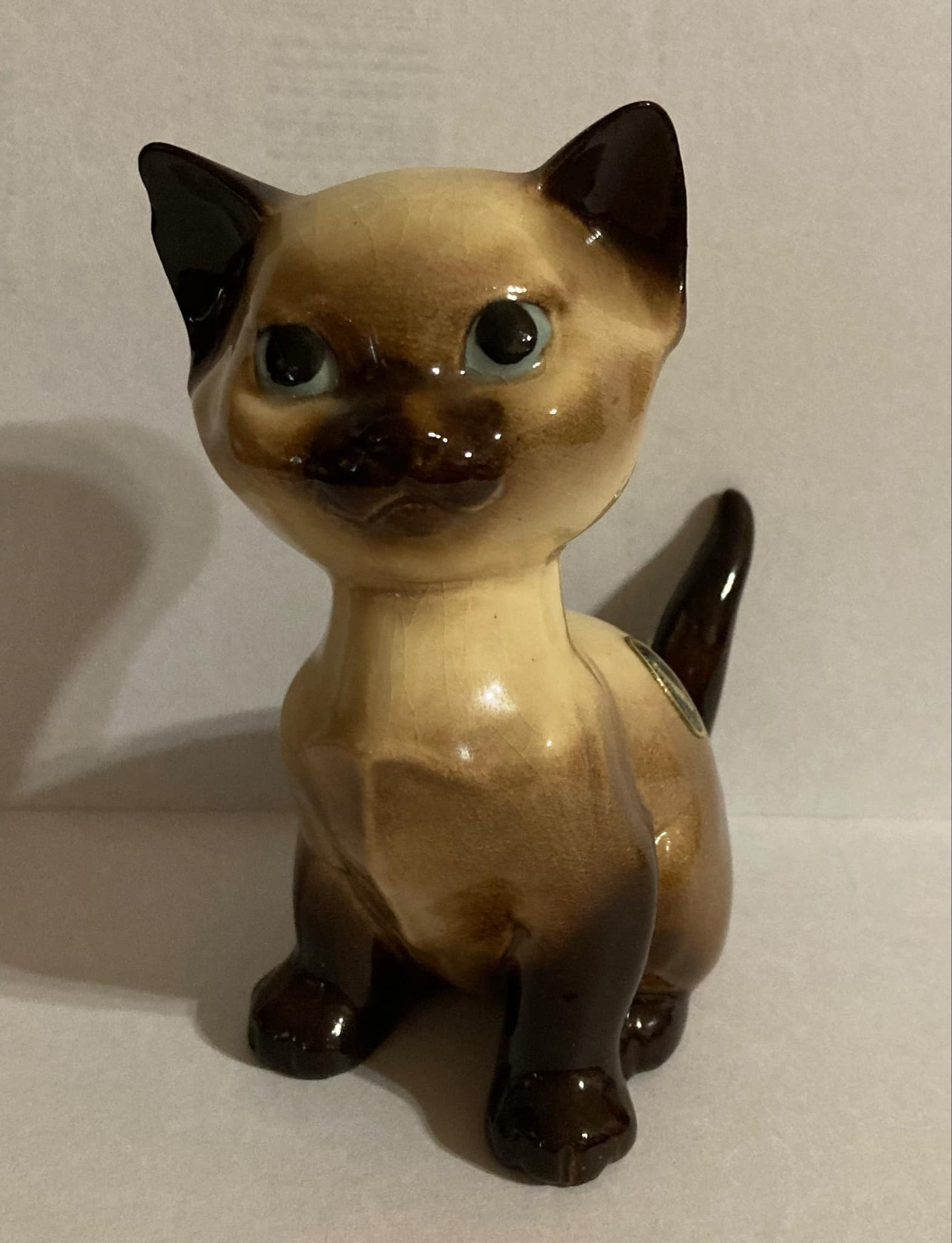 Siamese Kitten, seated "Quan Tiki"-image