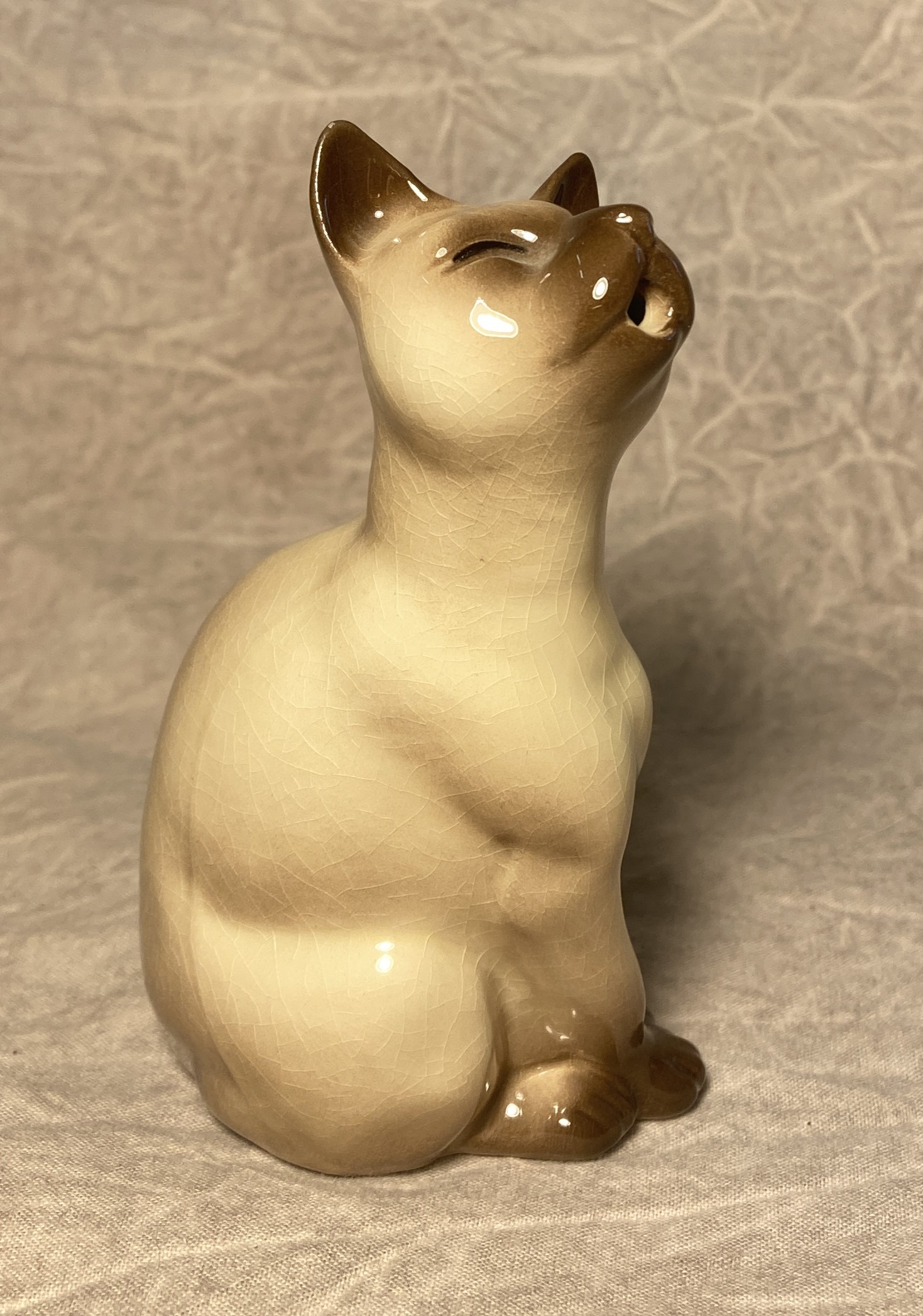 Calypso Cat "Tom"-image