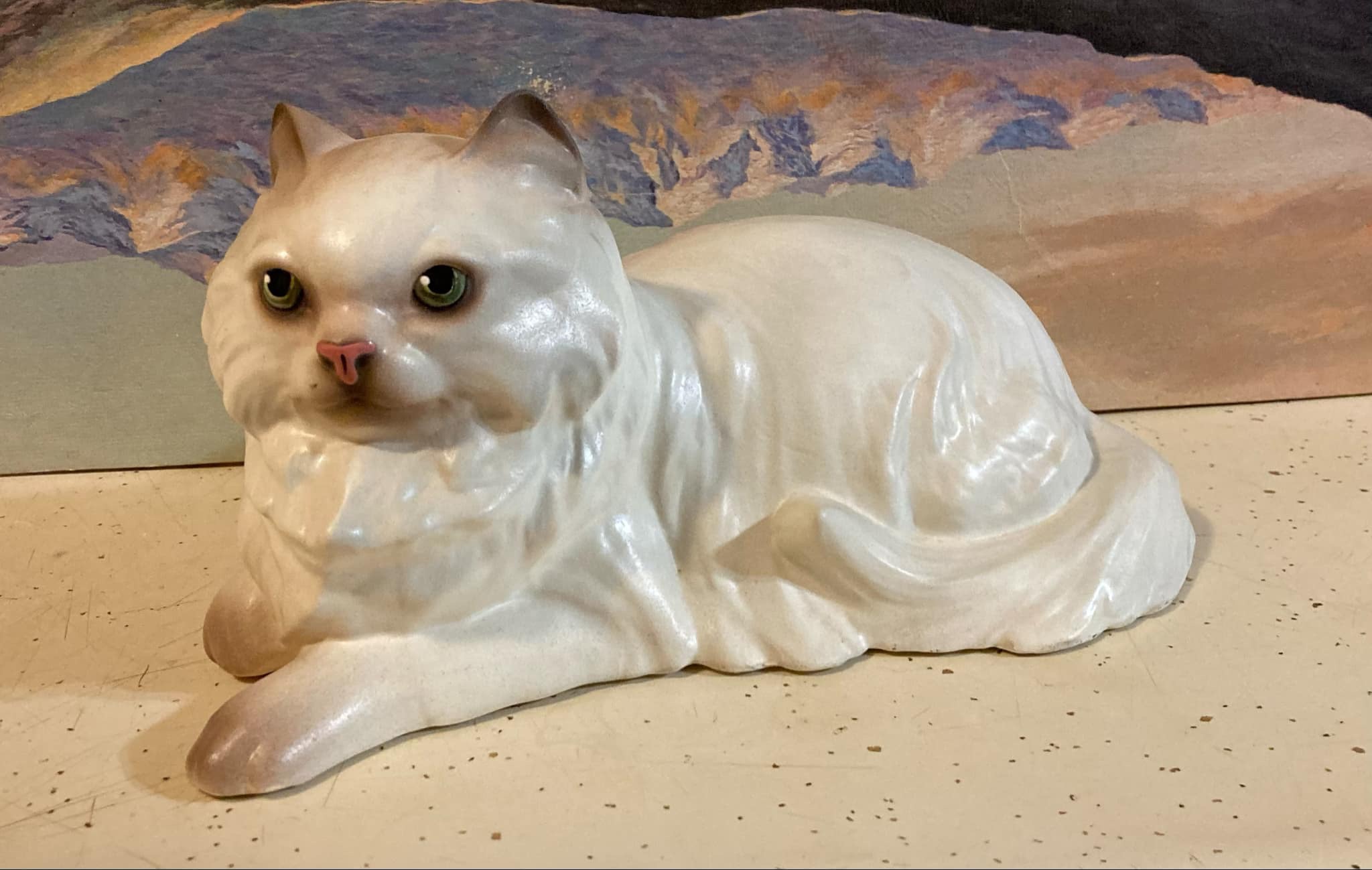Persian Cat, lying-image