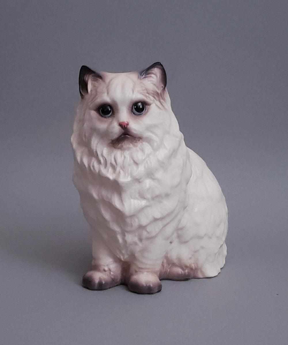 Persian Cat "Starlite"-image