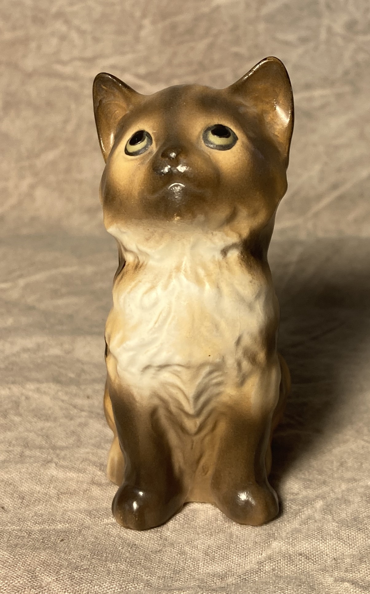 Kitten seated "Sassy"-image