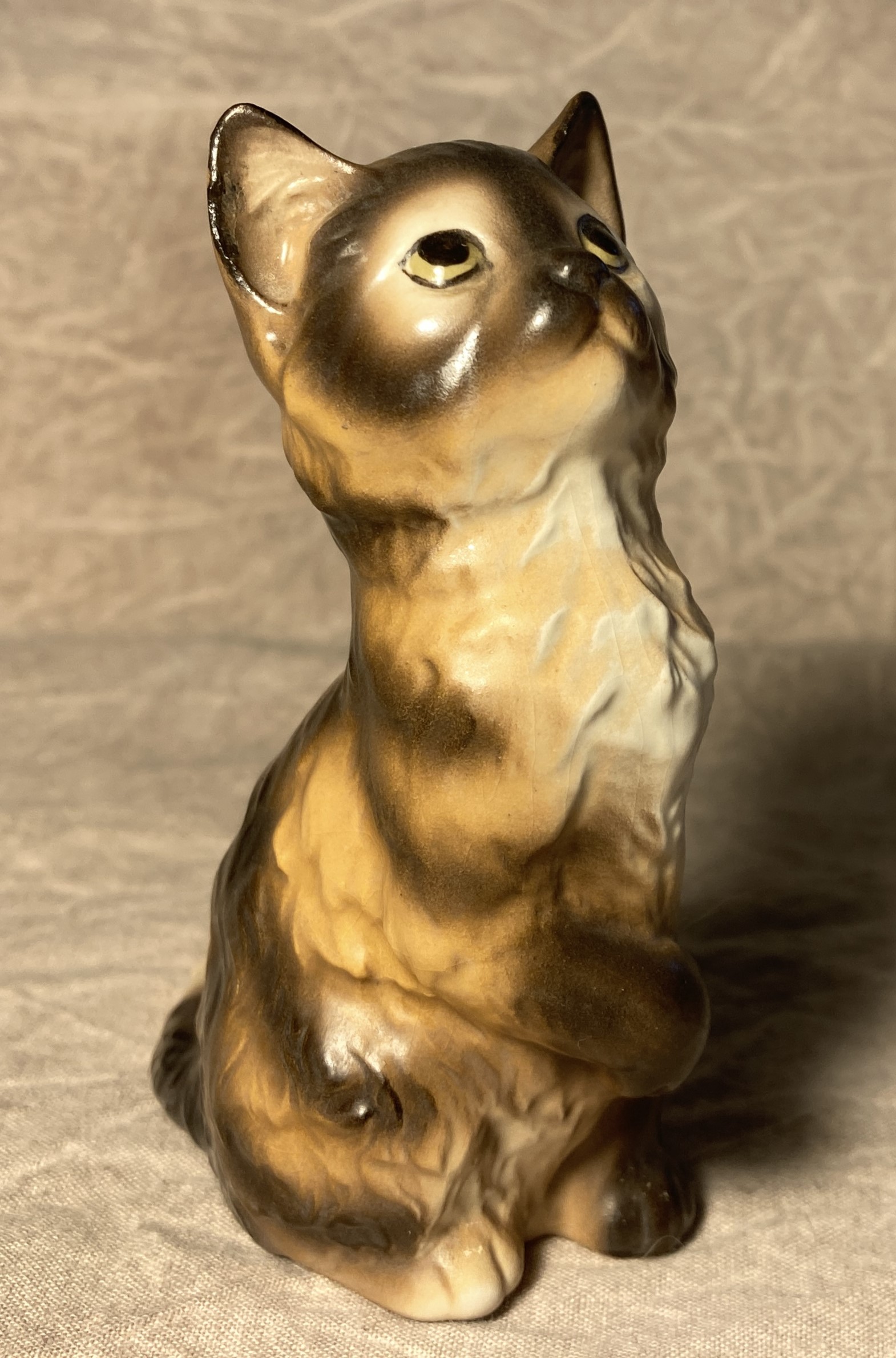 Cat seated "Sophie"-image